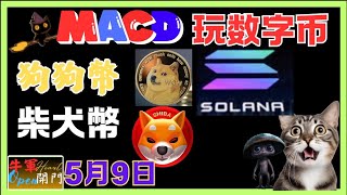 【MACD波動】玩数字币｜狗狗币【材犬币】#solana ｜❤️【5月9日】❤️【公開】#shiba