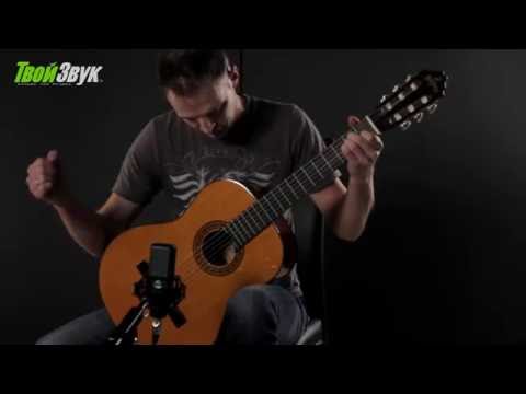 Washburn C40