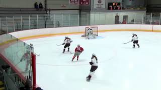 Arlington High School Girls Varsity Hockey vs Wakefield Memorial - January 24, 2018