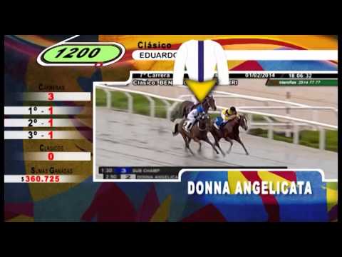 Clásico Eduardo A. Pons, sobre 1200 metros