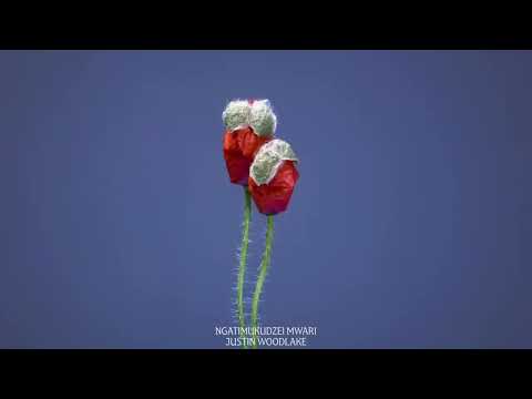 Ngatimukudzei Mwari | Justin Woodlake
