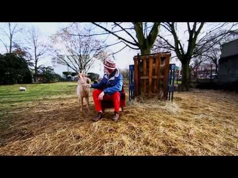 Collectif Medz Bazar - Kokoreç (2014)