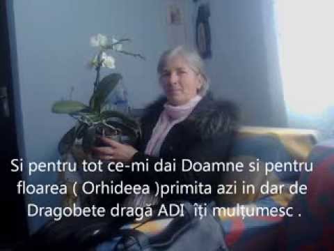 Dragobetele in Andrieseni