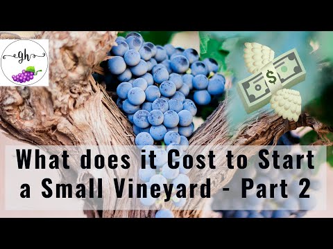 Backyard Vineyard - What Does it Cost to Start a Small Backyard Vineyard PART 2