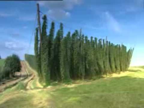 KAUZEN: "Bayerisches Bier" Rohstoffe & Qualität