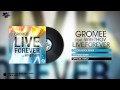 Gromee feat Wrethov – Live Forever (Crystal Rock ...