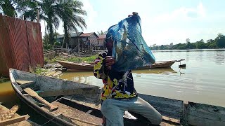 Download lagu Fishing for monster giant river prawns, new spot in a small creek, the inhabitants are big and ag... mp3 Download lagu Fishing for monster giant river prawns, new spot in a small creek, the inhabitants are big and ag... mp3