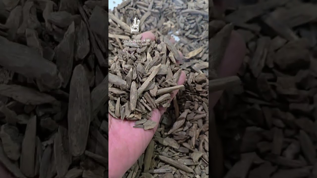  عود طبيعي فلبيني سوبر 