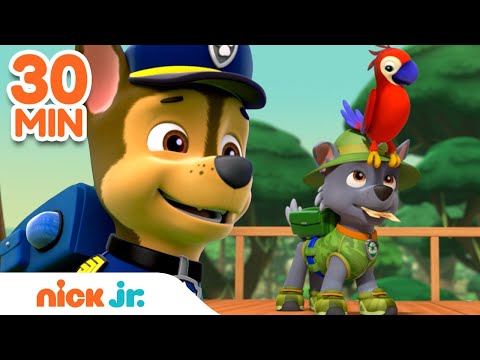 PAW Patrol Outdoor Rescues w/ Rocky & Chase! | 30 Minute Compilation | Nick Jr.
