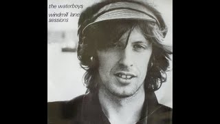 1993 - Waterboys - Drunken head blues