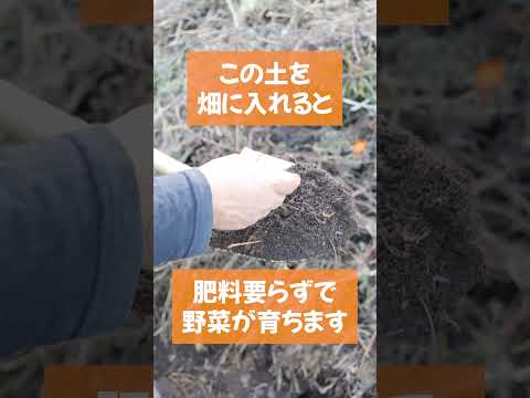 庭に堆肥を入れる方法 2023