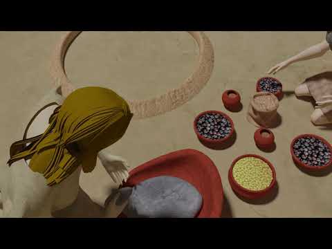 Neolithic Building at Vinca Site – Use of space – 3D reconstruction