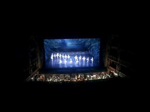 Función del Lago de los Cisnes en el Teatro Colón, 13/03/2026