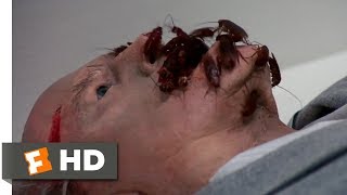 Creepshow (1982) - Death By Roaches Scene (10/10) | Movieclips