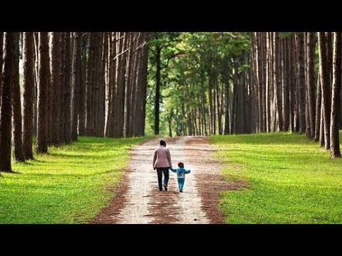 He leadeth Me ( Hymnal#537)