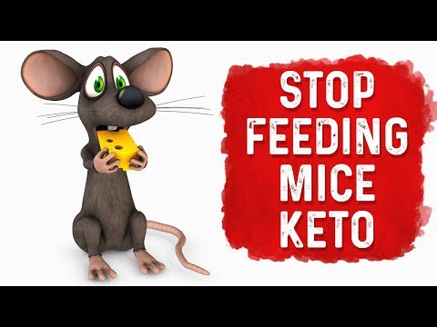 What is a Ketone Explained By Dr Berg