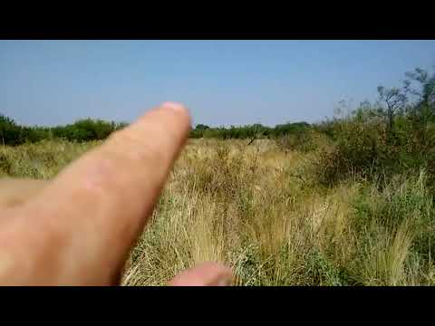 Campo en Corral de Lorca,General Alvear Mendoza sobre Río Diamante… Titular Luis Chavanne