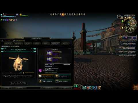 Paladin Justicar Build 2021