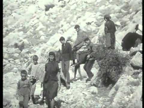 Brđani i donjani 2.