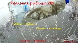 Ссылка