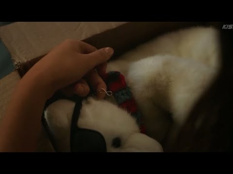 Belly gets a gift from Conrad | S3 E10 |