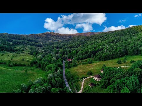 Dani Grigu feat. Ella - Dor (Video)