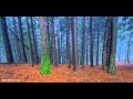 Clannad - Poison Glen - lien Clannad - Poison Glen