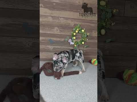 Video 2
