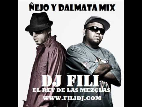 ÑEJO & DALMATA MIX - DJ FILI