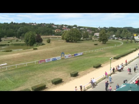 Dostihy 8. července 2018 - živě