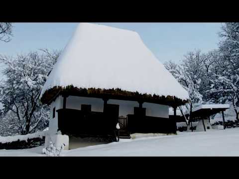 Iurie Sadovnic Orheianu - Ninge la Susleni