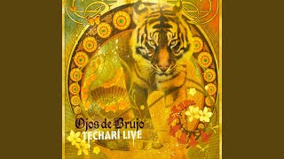 Runali (Live Barcelona 06)