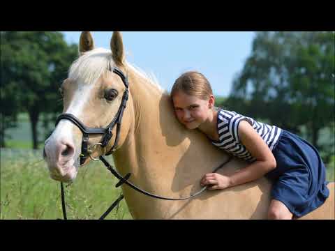 Malu (12) - Abschied von Dancer (19) am 21.02.2022