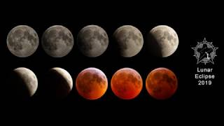 ASE Imaging Group 2019