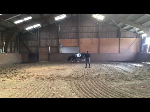 Cascadello I - Cassini II