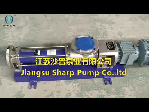 seepex type BN5 6L screw pump