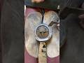 Satisfying Hoof Trim Satisfying Oddlysatisfying Asmr Farrier Horse