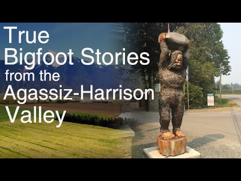 Classic Canadian Sasquatch Stories - Episode 1: The Agassiz-Harrison Valley
