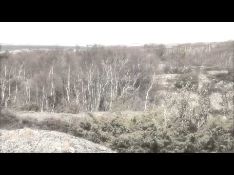 Dan Fors: Into Your Mind