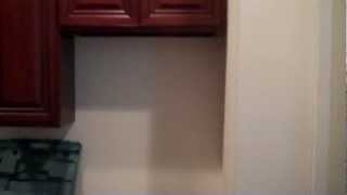1206 Walnut street unit 1F