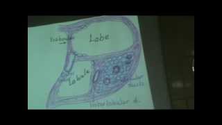 Dr. Gihan Digestive 8