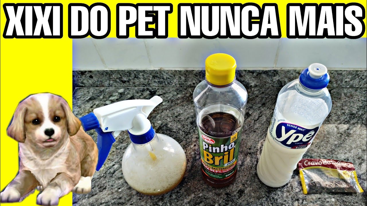 XIXI DO PET NO LUGAR ERRADO NUNCA MAIS !! CHEF DA CASA RECEITAS
