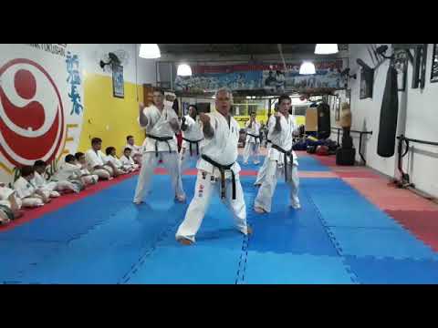 KATA GUEIKISAI DAI - KARATE SHINKYOKUSHIN