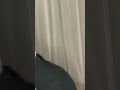 Avneet Kaur Oops Moment Avneet Kaur Panty Avneet Kaur Boobs Avneet Kaur Gaand