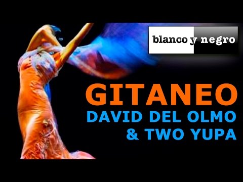 David Del Olmo & Two Yupa - Gitaneo (Official Audio)