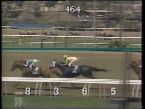 Marquetry  Hollywood Gold Cup 1991