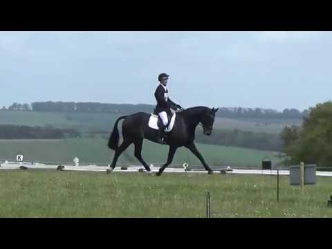 Alex Holman & Rock Solid - Withington Novice Dressage - 28/4/19