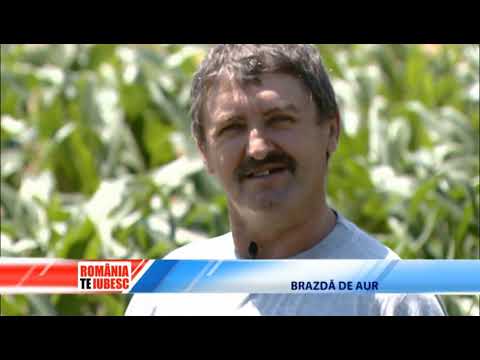 ROMANIA, TE IUBESC! - VIN DOAR CU NUMELE