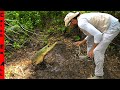 We Found FISH STUCK in BLACK TAR Water UNDERGROUND! - CATCH EM ALL FISHING We Found FISH STUCK in BLACK TAR Water UNDERGROUND!