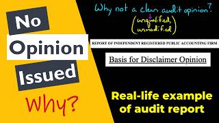 Disclaimer of Opinion with Example